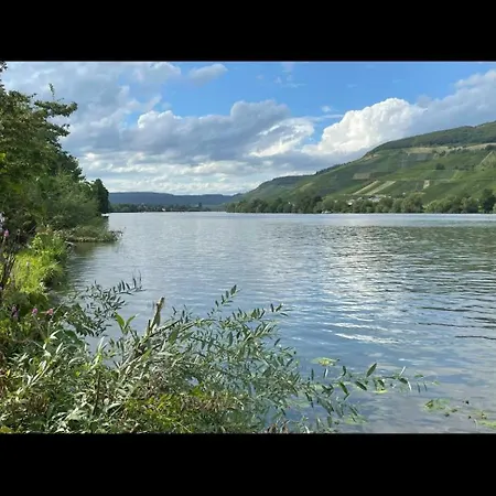 Appartement Edgar Und 300 Qm Garten Trier Mosel Eifel