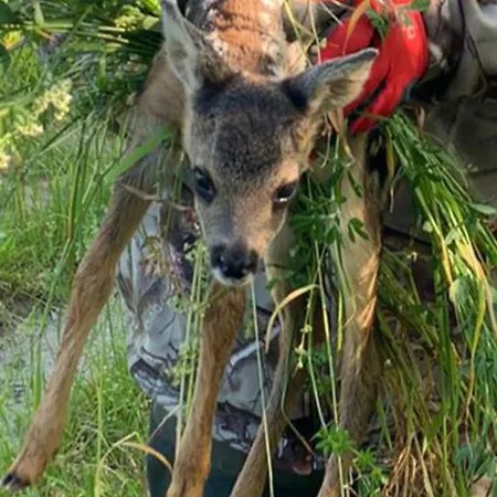 Edgar Und 300 Qm Garten Trier Mosel Eifel Appartement