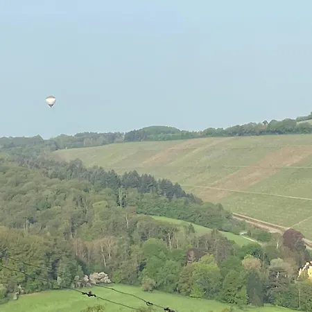Appartement Edgar Und 300 Qm Garten Trier Mosel Eifel