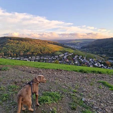 Edgar Und 300 Qm Garten Trier Mosel Eifel