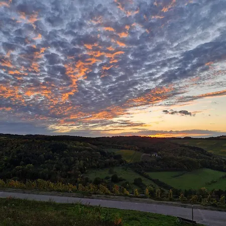 Edgar Und 300 Qm Garten Trier Mosel Eifel Appartement Mertesdorf