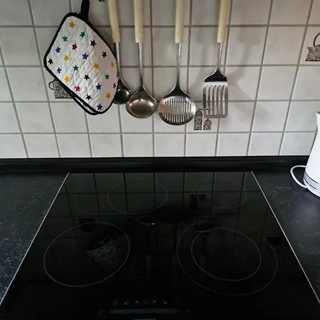 Appartement Edgar Und 300 Qm Garten Trier Mosel Eifel *