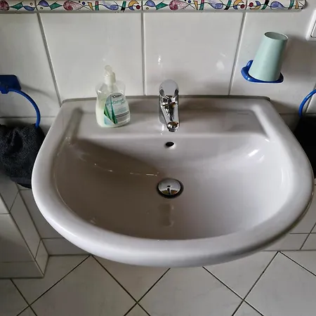 Edgar Und 300 Qm Garten Trier Mosel Eifel