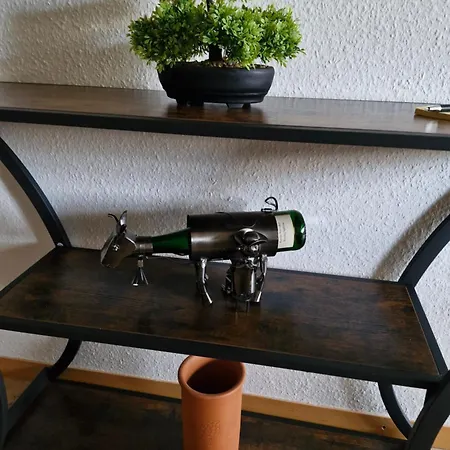 Appartement Edgar Und 300 Qm Garten Trier Mosel Eifel