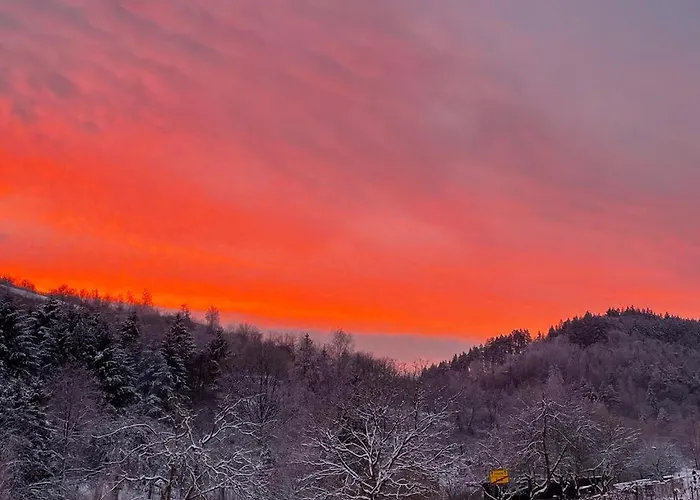 Edgar Und 300 Qm Garten Trier Mosel Eifel Apartamento