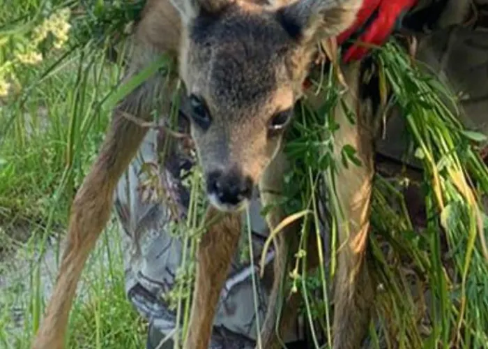 Edgar Und 300 Qm Garten Trier Mosel Eifel Apartamento