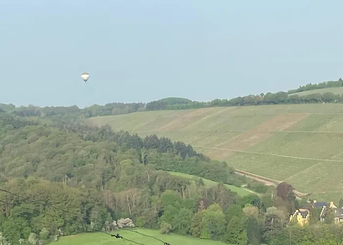 Apartamento Edgar Und 300 Qm Garten Trier Mosel Eifel