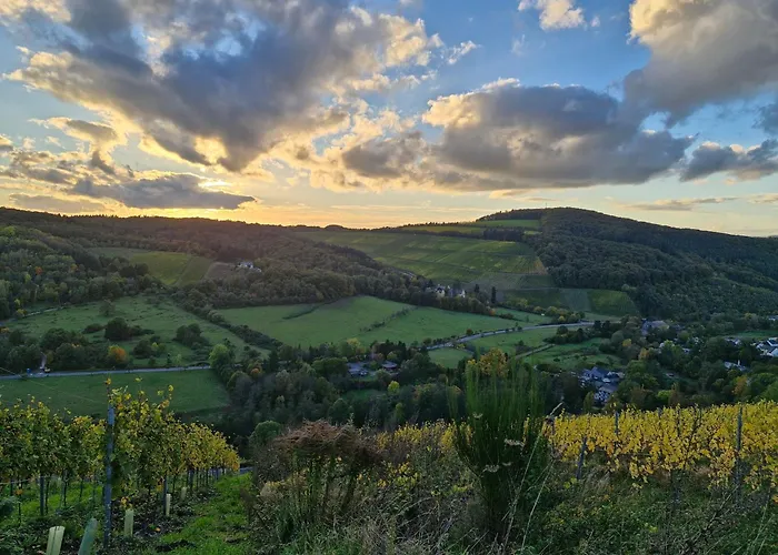 Edgar Und 300 Qm Garten Trier Mosel Eifel Mertesdorf