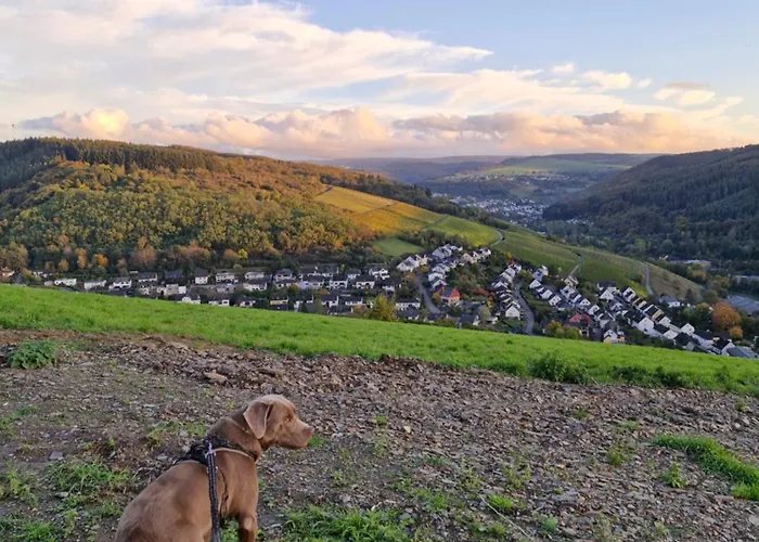Edgar Und 300 Qm Garten Trier Mosel Eifel