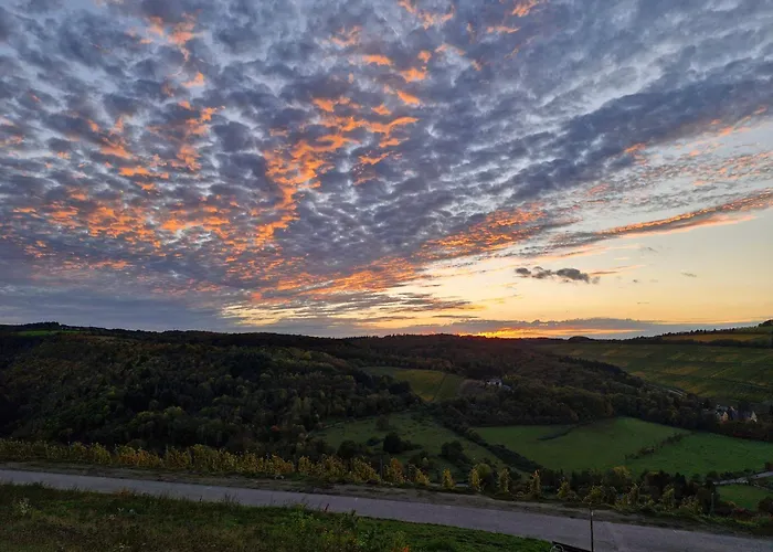 Edgar Und 300 Qm Garten Trier Mosel Eifel Apartamento Mertesdorf