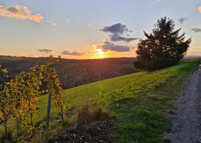 Edgar Und 300 Qm Garten Trier Mosel Eifel Apartamento